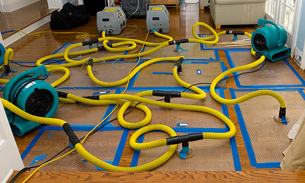 Professional Water Damage Repair technician working in Waco, TX